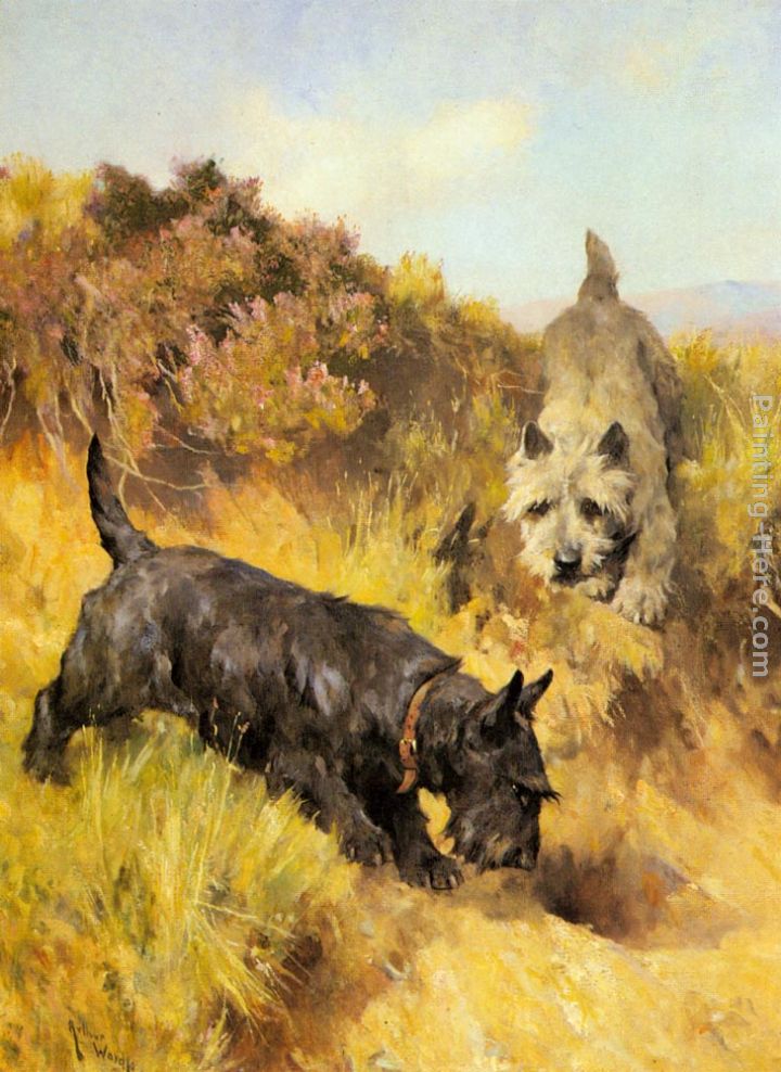 Two Scotties in a Landscape painting - Arthur Wardle Two Scotties in a Landscape art painting